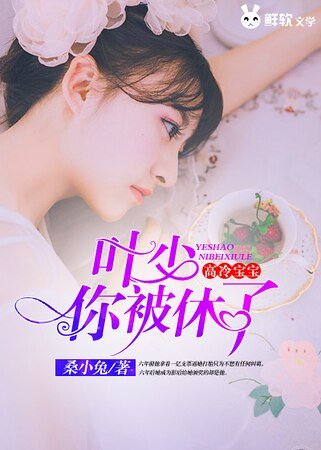 高冷瓷瓷:葉少,你被休了!