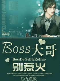 Boss大哥,别惹火