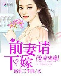 娶妻成癮:前妻請下嫁